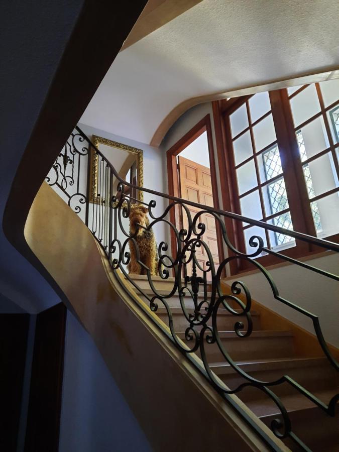 Le Clos Des Soyeux Saint-Victor-sur-Rhins 외부 사진