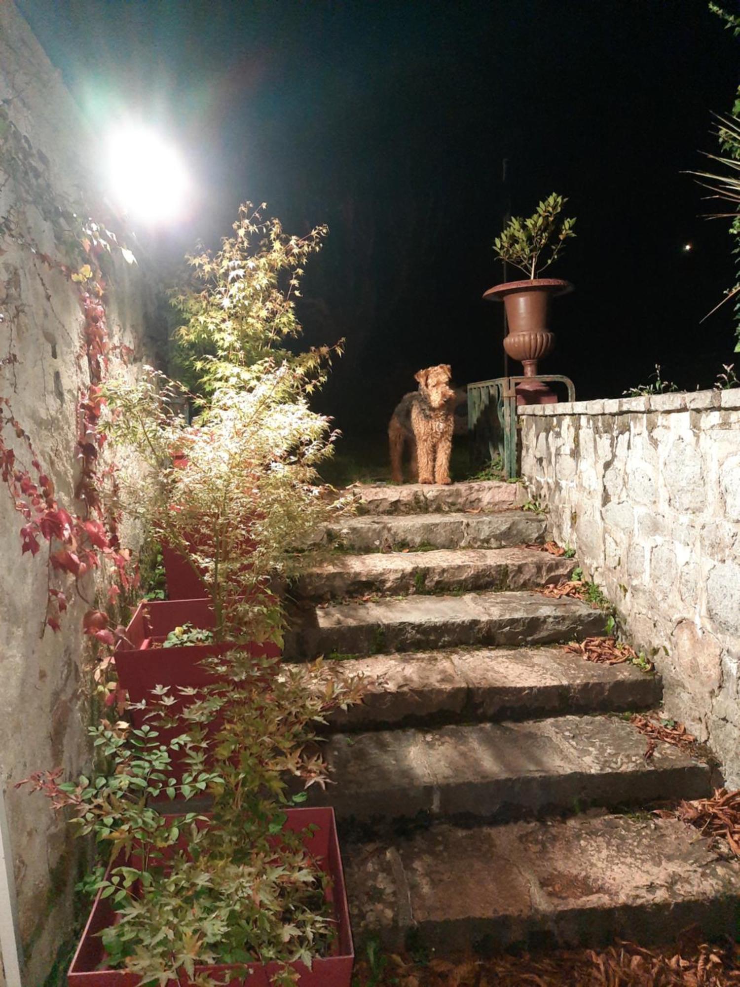 Le Clos Des Soyeux Saint-Victor-sur-Rhins 외부 사진